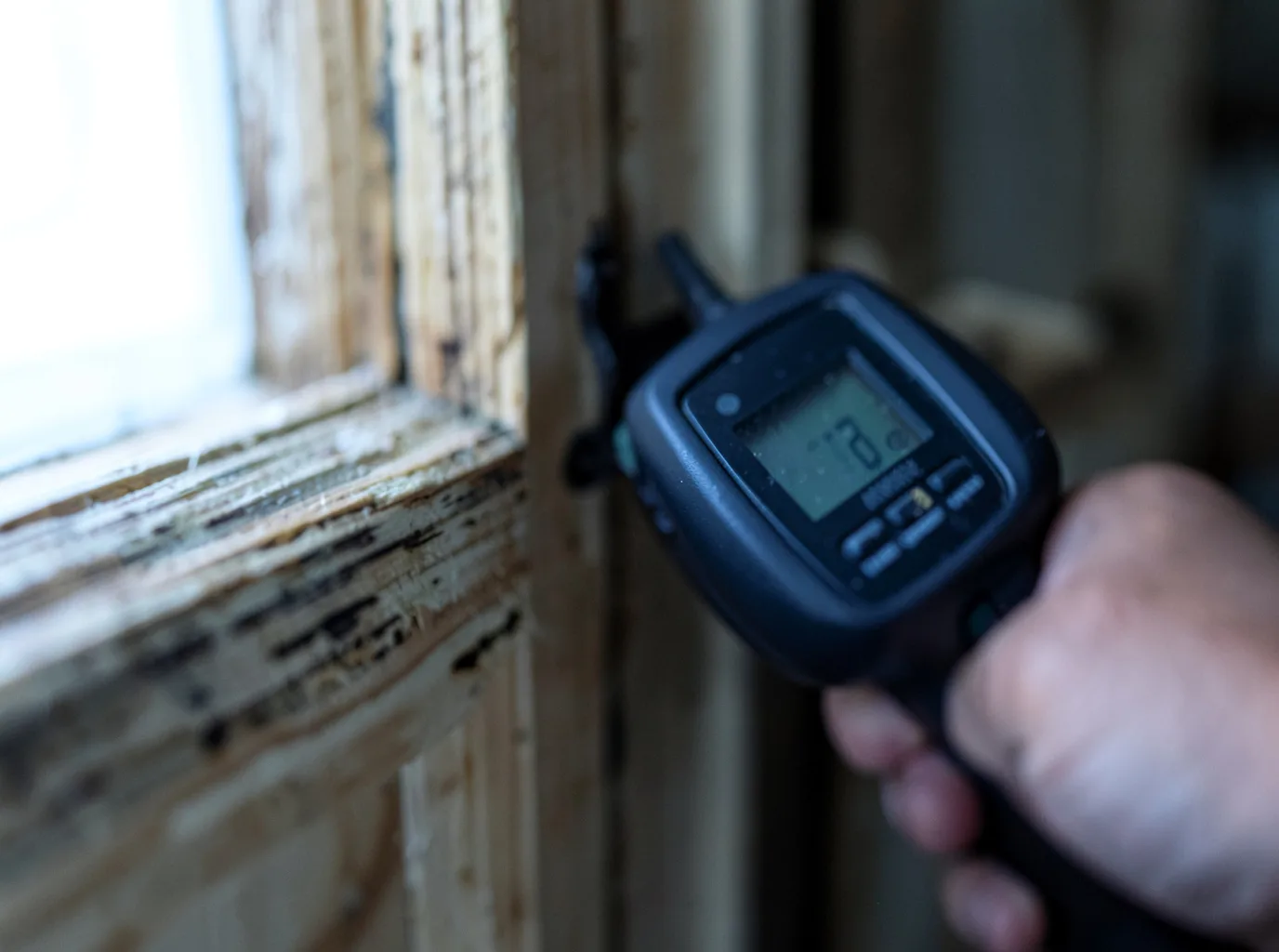 Commercial Water Damage Restoration in Taylors Falls, MN